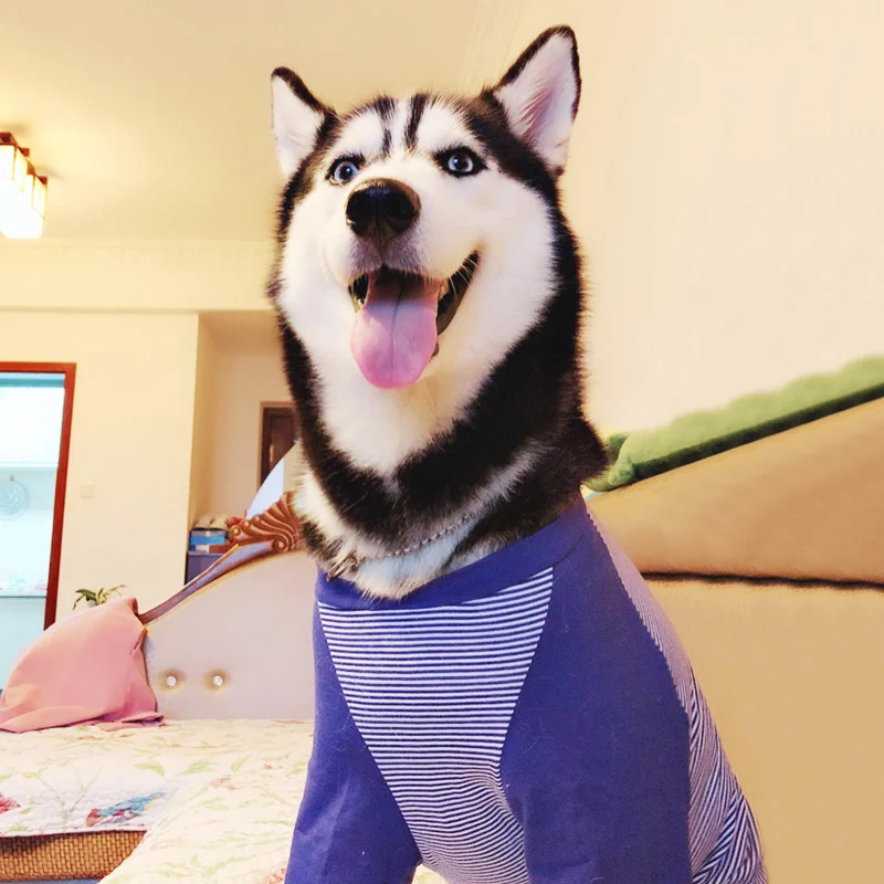 Pet Dog Clothes Clothing Coat Jacket Hoodie Sweater Clothes for Dogs Cotton Clothing for Dogs Sports Style Pet Dog Clothes New
Pet Dog Clothes Clothing Coat Jacket Hoodie Sweater Clothes for Dogs Cotton Clothing for Dogs Sports Style Pet Dog Clothes New