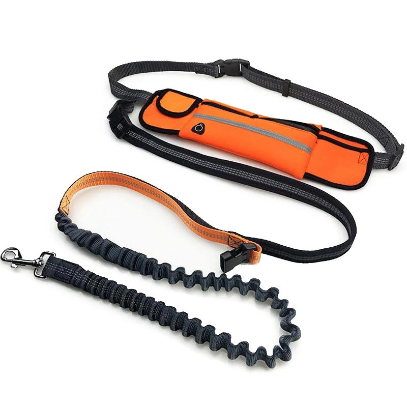 Hand Free Elastic Dog Leash Adjustable Padded Waist Reflective Running Jogging Walking Pet Lead Belt With Pouch Bags
Hand Free Elastic Dog Leash Adjustable Padded Waist Reflective Running Jogging Walking Pet Lead Belt With Pouch Bags