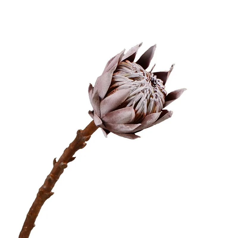 Rustic Style Vintage Artificial Flowers Home Decorative Fake Flowers 1 Piece Beautiful Dried The King Protea Display Flowers
Rustic Style Vintage Artificial Flowers Home Decorative Fake Flowers 1 Piece Beautiful Dried The King Protea Display Flowers