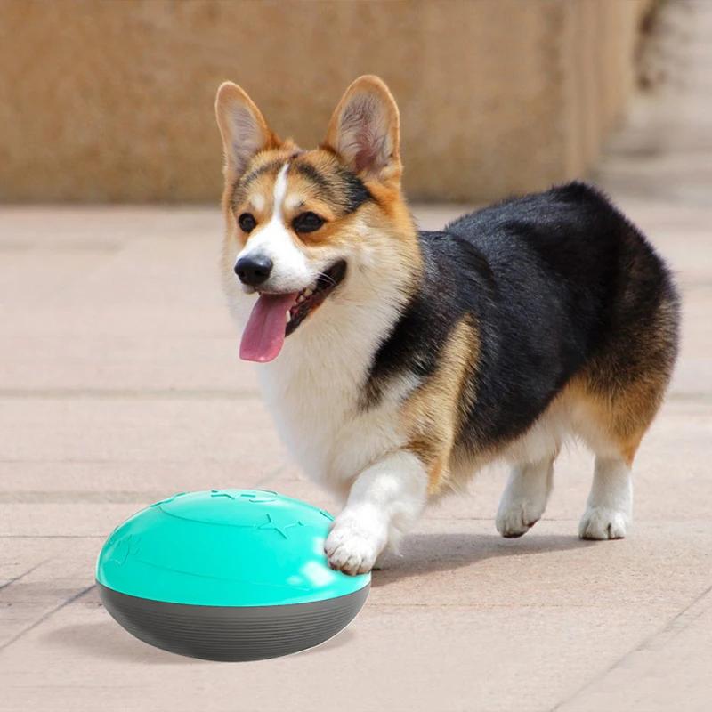Animals supplies dog fidget sound toys Canine training dog puzzle toy interactive for pet Games bite flying disc dog accessories
Animals supplies dog fidget sound toys Canine training dog puzzle toy interactive for pet Games bite flying disc dog accessories