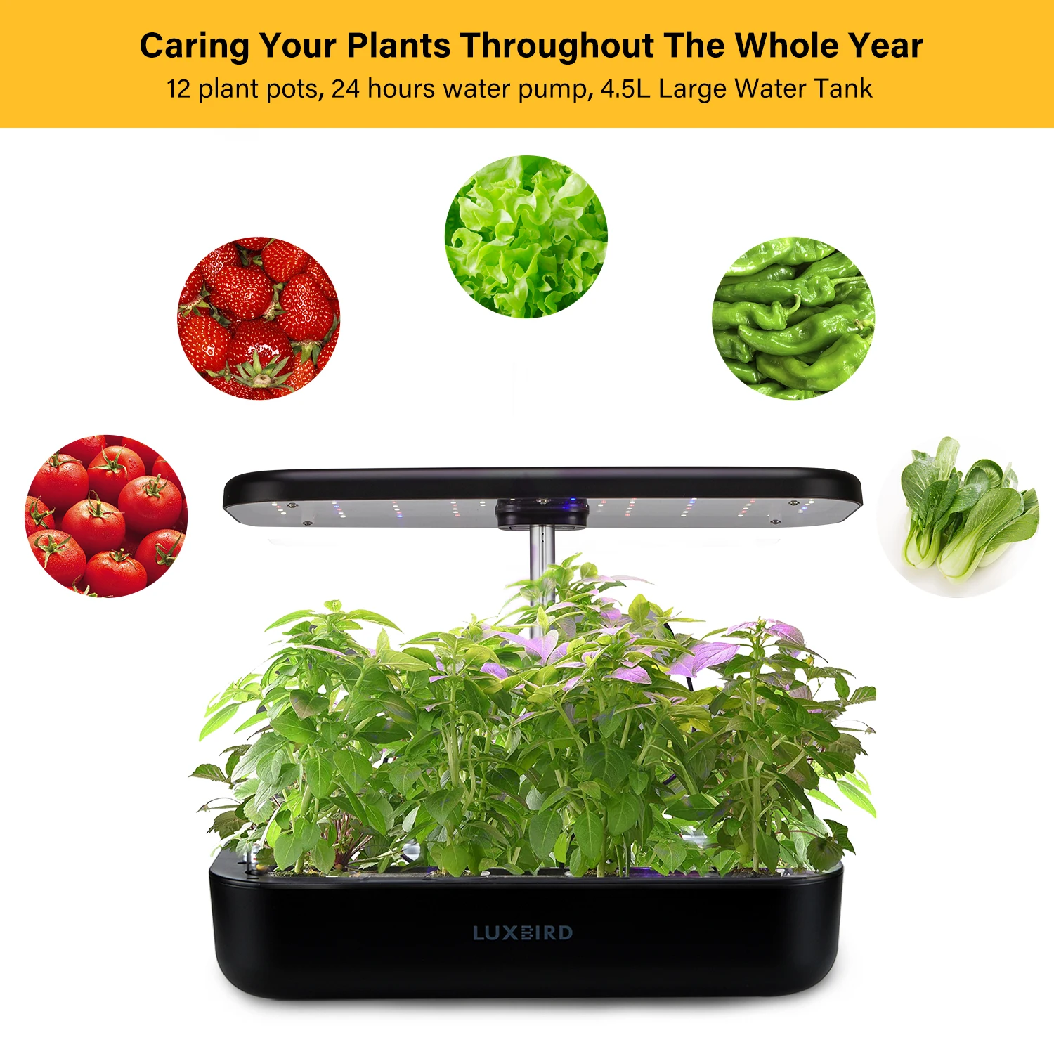 Inkbird Hydroponics Growing System Height Adjustable with Smart LED Grow Light Large Capacity Germination Kit for Home Gardening
Inkbird Hydroponics Growing System Height Adjustable with Smart LED Grow Light Large Capacity Germination Kit for Home Gardening