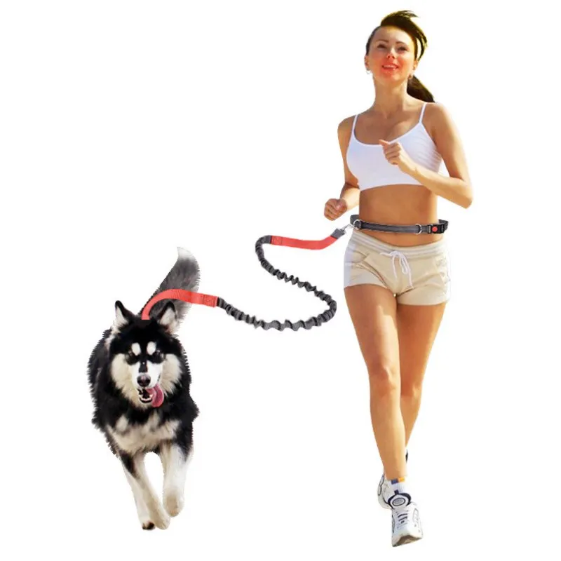 Medium and Large Pet Running Leash Collar, Sports and Fitness Running Dog Walking, Nylon Leash, Reflective Elastic Dog Leash
Medium and Large Pet Running Leash Collar, Sports and Fitness Running Dog Walking, Nylon Leash, Reflective Elastic Dog Leash