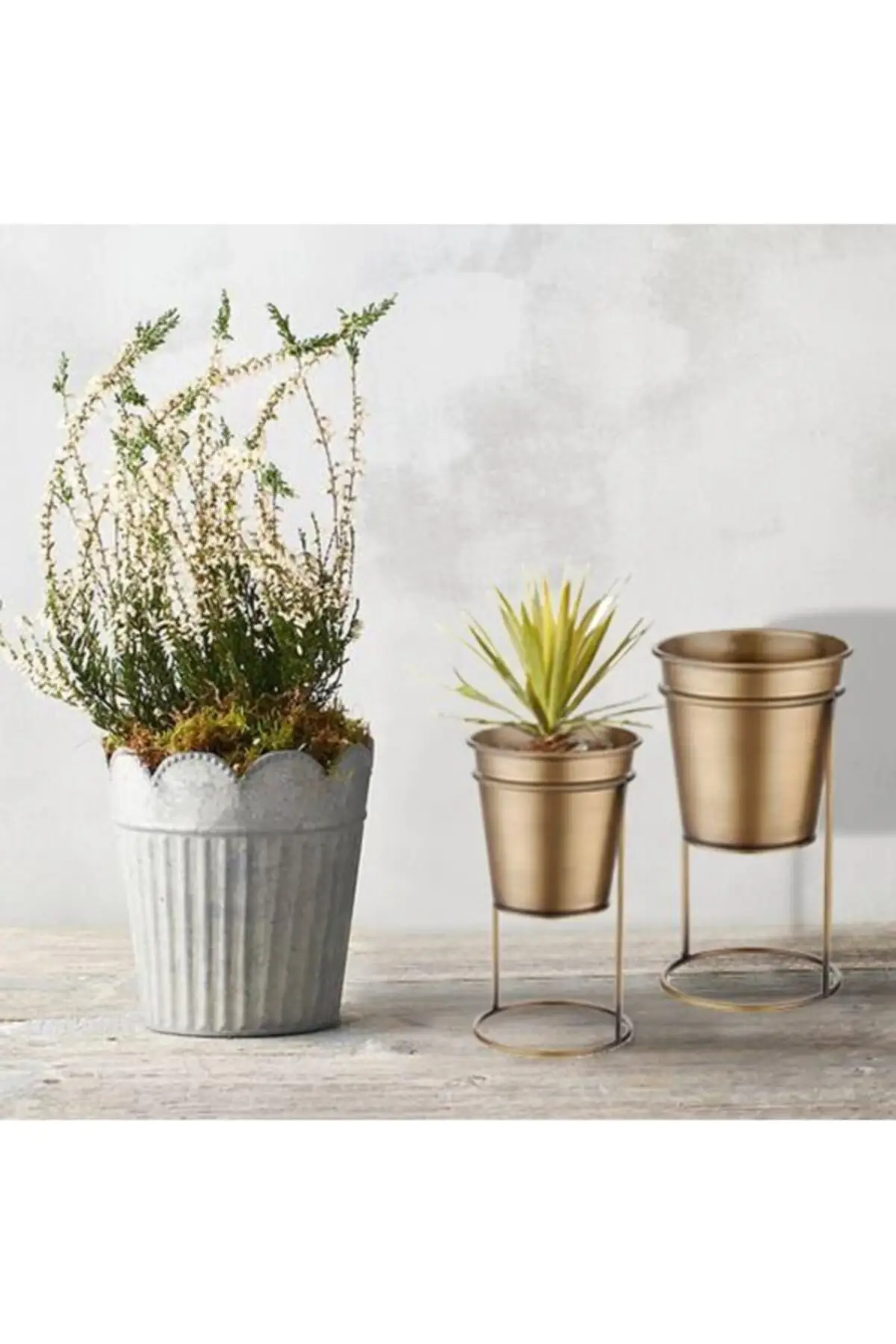 The Mia Flower Bed leg 27 cm Gold GLV0589
The Mia Flower Bed leg 27 cm Gold GLV0589