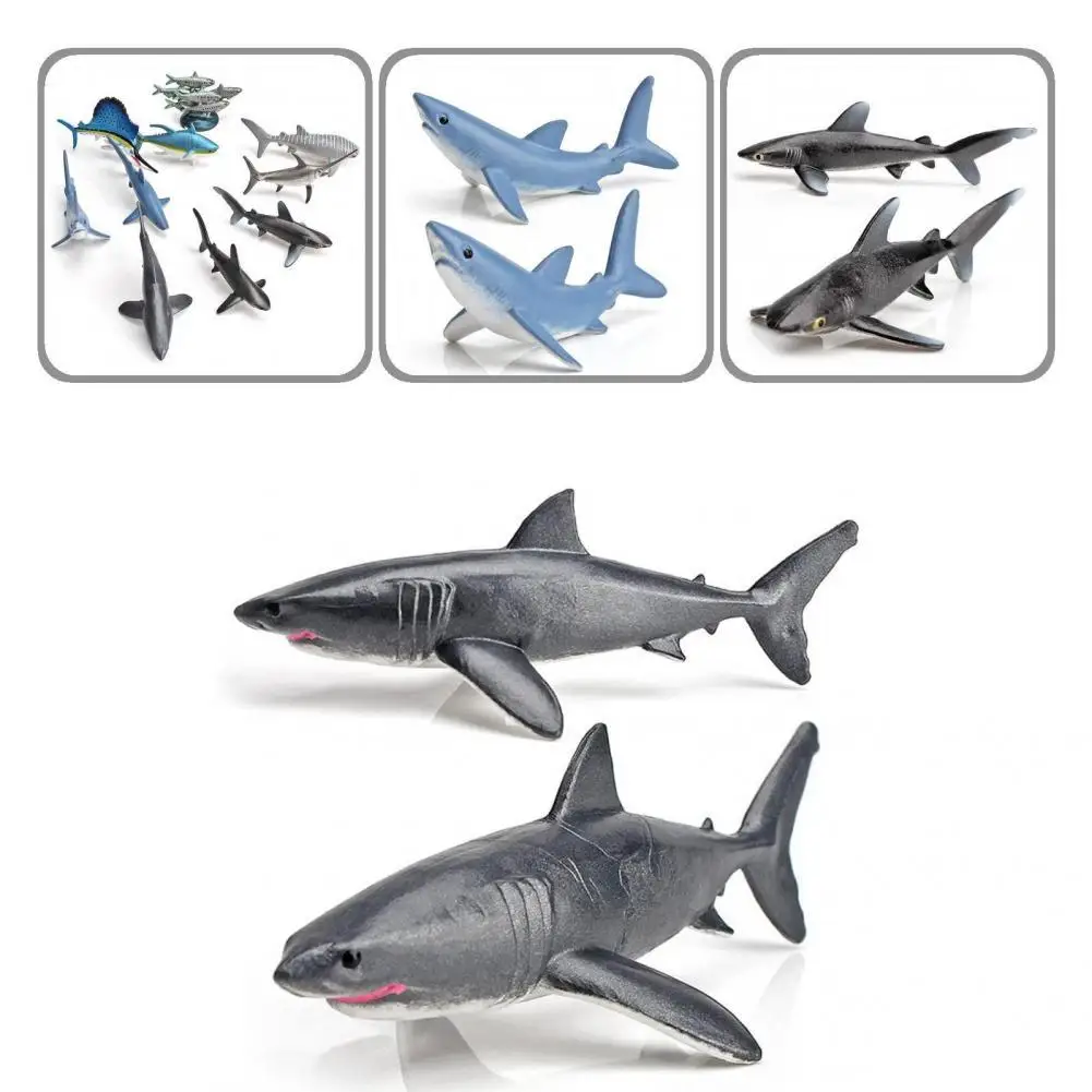 Functional Animal Model Decor Nice-looking Mini Marine Animal Model Ornament Simulation Animal Animal Model 10Pcs/Set
Functional Animal Model Decor Nice-looking Mini Marine Animal Model Ornament Simulation Animal Animal Model 10Pcs/Set