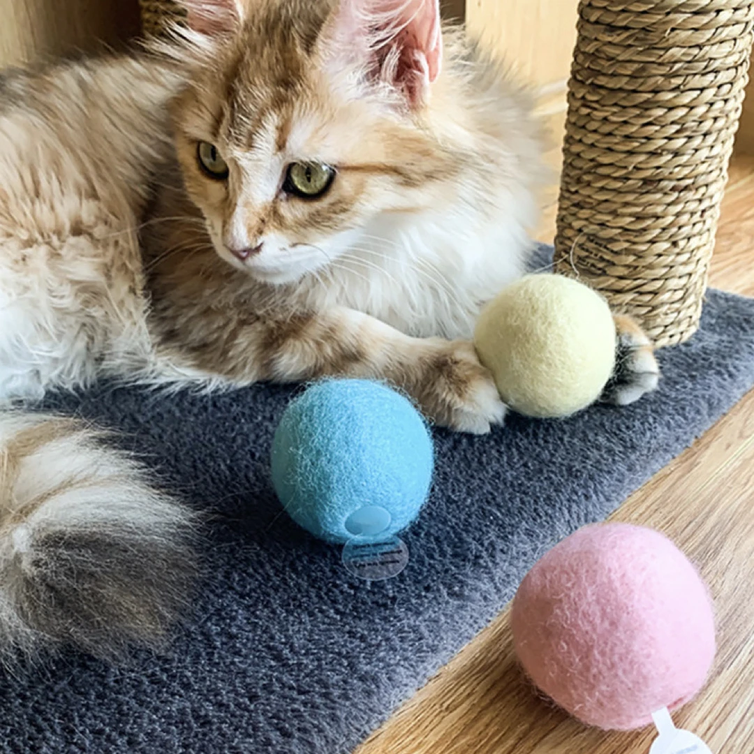 Interactive Smart Cat Toys Gravity Ball Cat Training Toy Pet Playing Ball Pet Toys Squeak Toys for Cats
Interactive Smart Cat Toys Gravity Ball Cat Training Toy Pet Playing Ball Pet Toys Squeak Toys for Cats