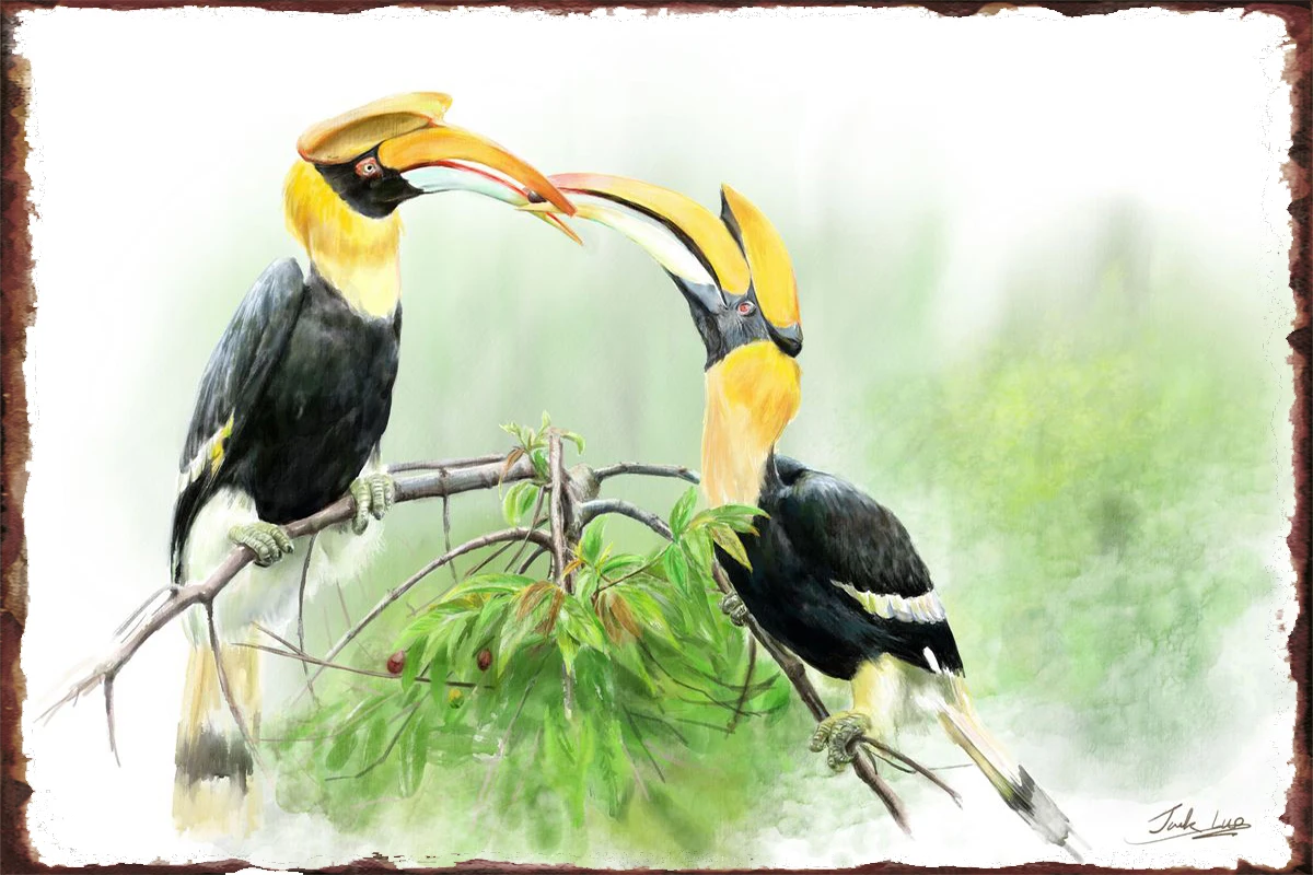Жестяные таблички Hornbill love для декора стен, декор для комнаты в стиле ретро, винтажный металлический знак для художественного клуба, мужской ...
Жестяные таблички Hornbill love для декора стен, декор для комнаты в стиле ретро, винтажный металлический знак для художественного клуба, мужской ...