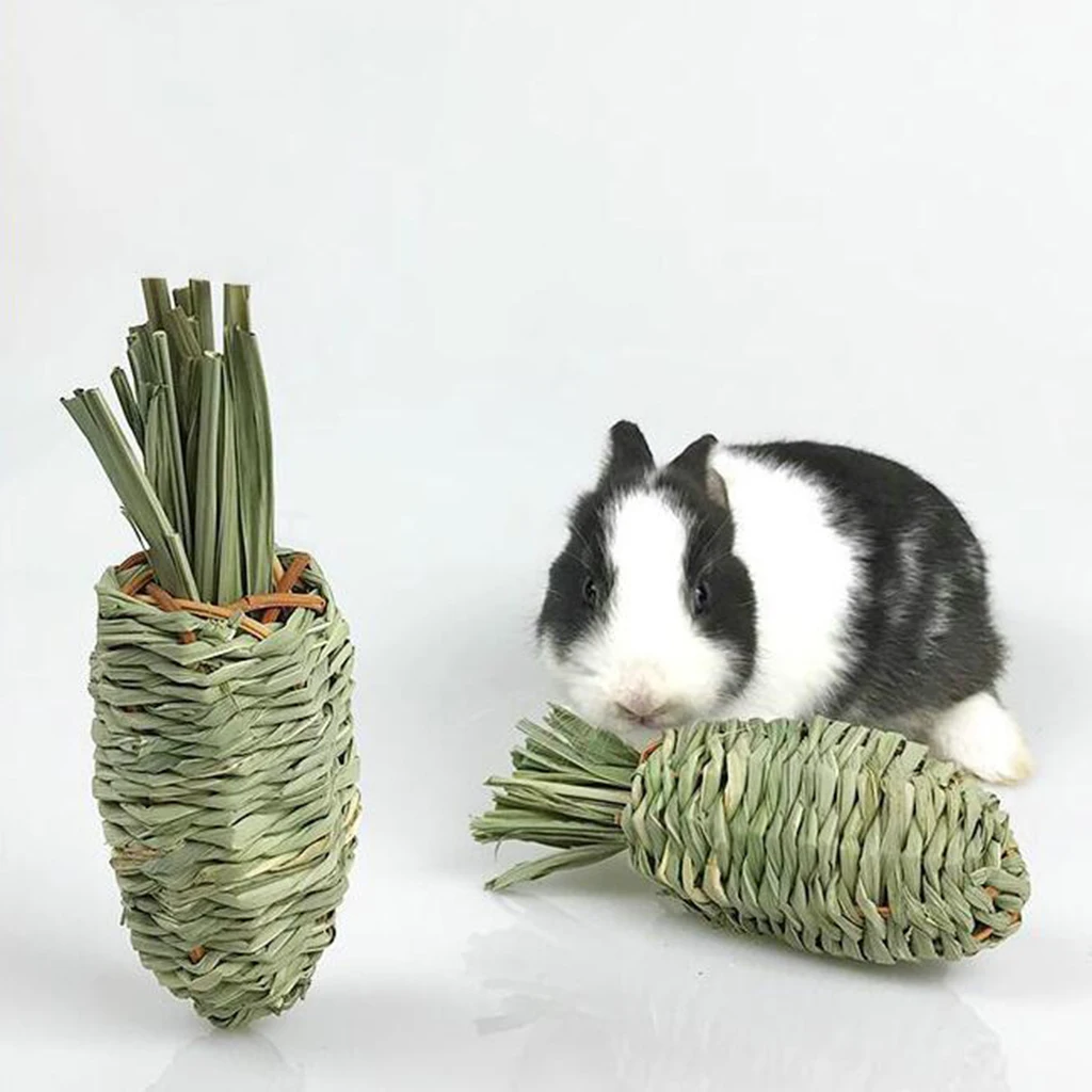 Radish Rabbit Chew Toy Nibble Toy Tooth Cleaning Grinding Natural Woven Radish Molar Toys for Rabbits Activity Play Teeth Care
Radish Rabbit Chew Toy Nibble Toy Tooth Cleaning Grinding Natural Woven Radish Molar Toys for Rabbits Activity Play Teeth Care