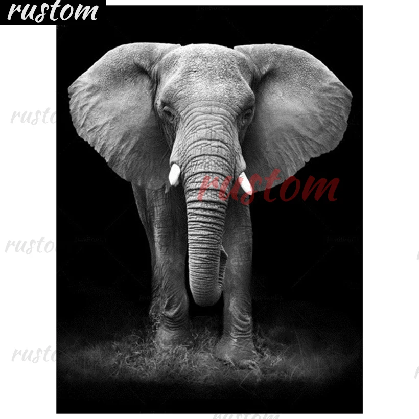 Full Square Drill Colorful elephant Diamant Painting 5D DIY Diamond Painting Embroidery Cross Stitch gift Home Decor Rustom
Full Square Drill Colorful elephant Diamant Painting 5D DIY Diamond Painting Embroidery Cross Stitch gift Home Decor Rustom