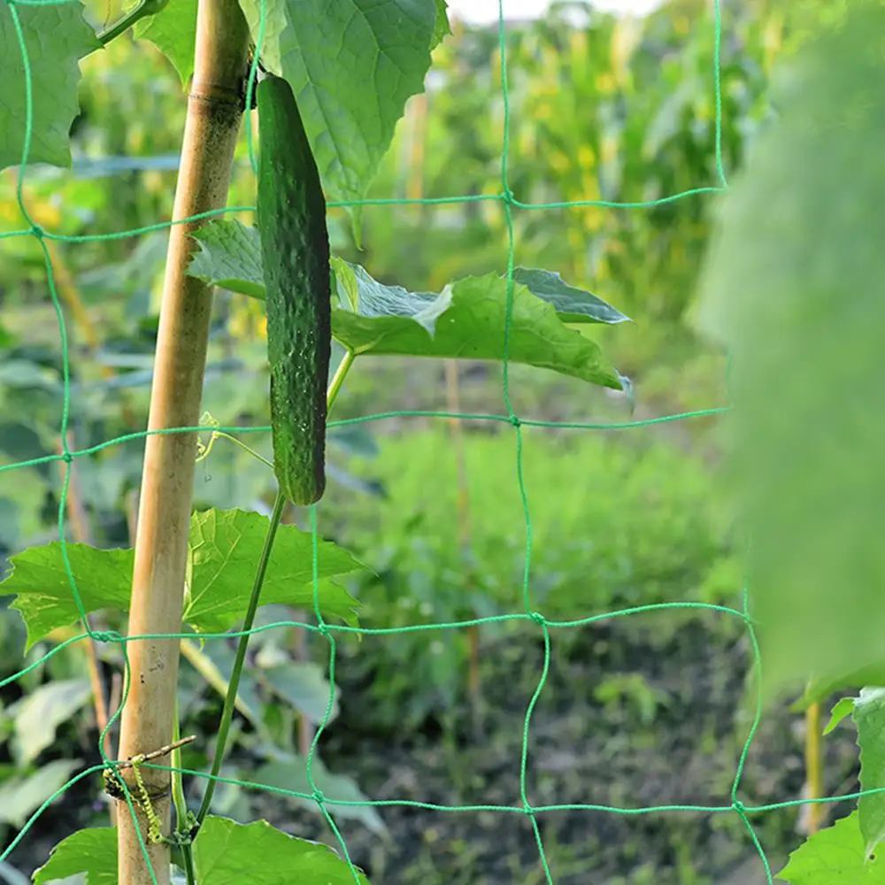 High Quality Useful Gardening Plant Climbing Net Climbing Net Plant Net Planting Vegetable Plastic Orchard Home & Garden
High Quality Useful Gardening Plant Climbing Net Climbing Net Plant Net Planting Vegetable Plastic Orchard Home & Garden