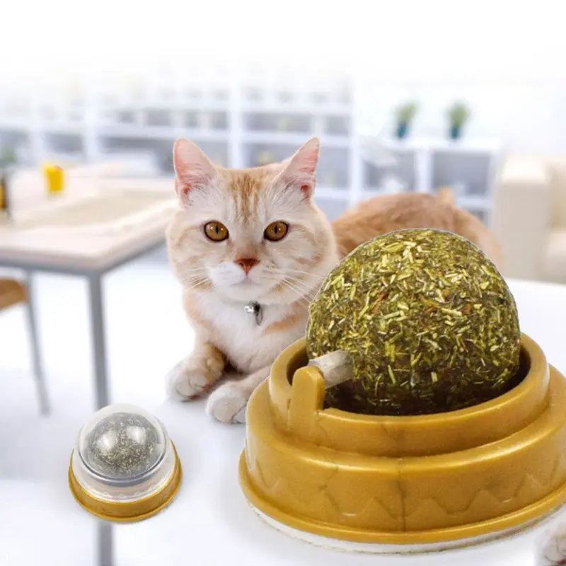 Natural Catnip Cat Wall Stick-on Ball Toy Treats Healthy Natural Removes Hair Balls to Promote Digestion Cat Grass Snack Pet
Natural Catnip Cat Wall Stick-on Ball Toy Treats Healthy Natural Removes Hair Balls to Promote Digestion Cat Grass Snack Pet