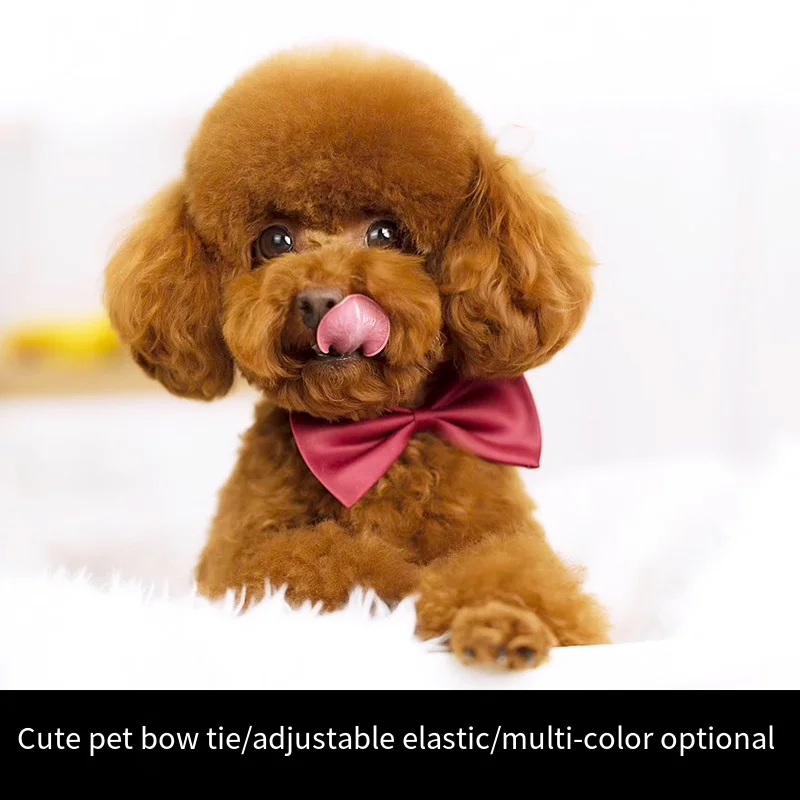 Pet Dog Cat Necklace Adjustable Strap for CatCollar Dogs Accessories pet dog bow tie puppy bow ties dog Pet supplies dog bow tie
Pet Dog Cat Necklace Adjustable Strap for CatCollar Dogs Accessories pet dog bow tie puppy bow ties dog Pet supplies dog bow tie