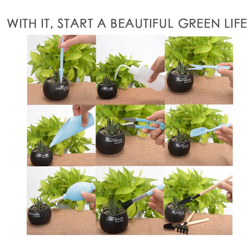 16pcs/set Succulent Planting Tool Combination Set Flowering Mini Potted Plants Gardening Tool Kit L5
16pcs/set Succulent Planting Tool Combination Set Flowering Mini Potted Plants Gardening Tool Kit L5