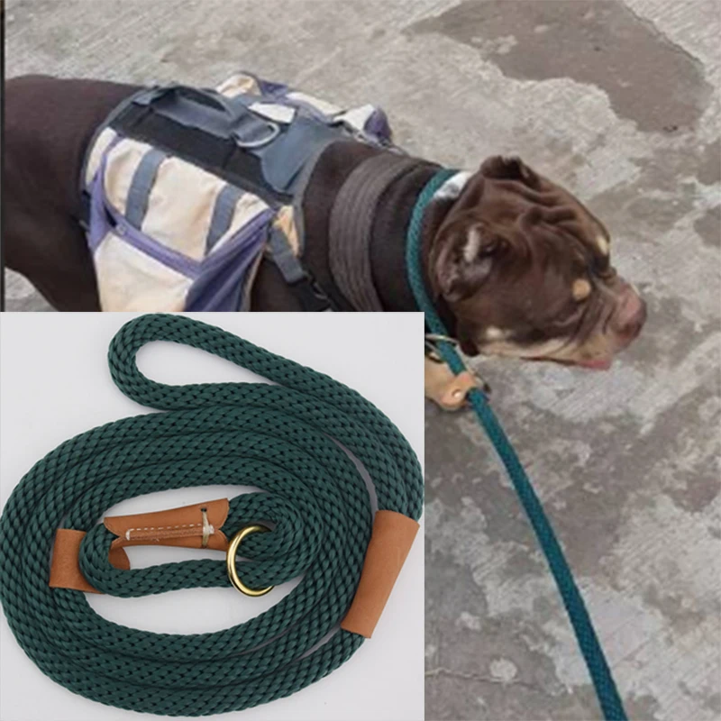 Pet Dog Leash Rope braided Nylon Leather Adjustable Training Lead Dogs Leash Dog Strap Rope Traction Dog Harness Collar Lead
Pet Dog Leash Rope braided Nylon Leather Adjustable Training Lead Dogs Leash Dog Strap Rope Traction Dog Harness Collar Lead