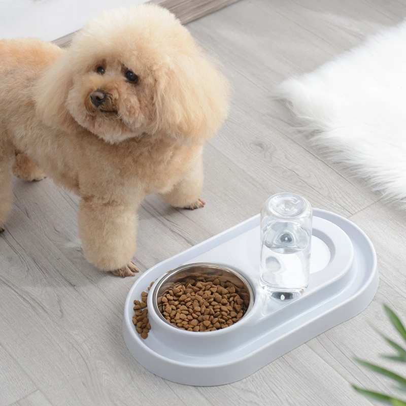 Non-Slip Dog Bowl 2 In 1 PP Stainless Steel Automatic Water Dispenser Feeder Pet Dog Cat Drinker Cute Pet Feeder Product Hot
Non-Slip Dog Bowl 2 In 1 PP Stainless Steel Automatic Water Dispenser Feeder Pet Dog Cat Drinker Cute Pet Feeder Product Hot
