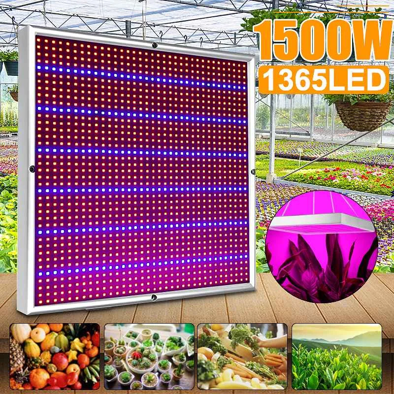 1500W Growing Lamps LED Grow Light 1365 LEDS Full Spectrum for Greenhouse Indoor Hydroponic Plant Seedling Flower High Yield
1500W Growing Lamps LED Grow Light 1365 LEDS Full Spectrum for Greenhouse Indoor Hydroponic Plant Seedling Flower High Yield
