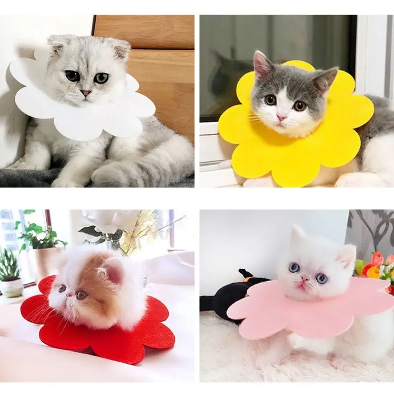 collar for cats 5Pcs Pet Elizabethan Collar Cat Recovery Collar Wound Healing Protective Cone Photo Prop for Puppy Cat Kitten
collar for cats 5Pcs Pet Elizabethan Collar Cat Recovery Collar Wound Healing Protective Cone Photo Prop for Puppy Cat Kitten