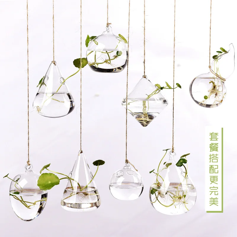 Creative hanging transparent glass vase simple hydroponic small bottle indoor gardening home decoration 
Creative hanging transparent glass vase simple hydroponic small bottle indoor gardening home decoration