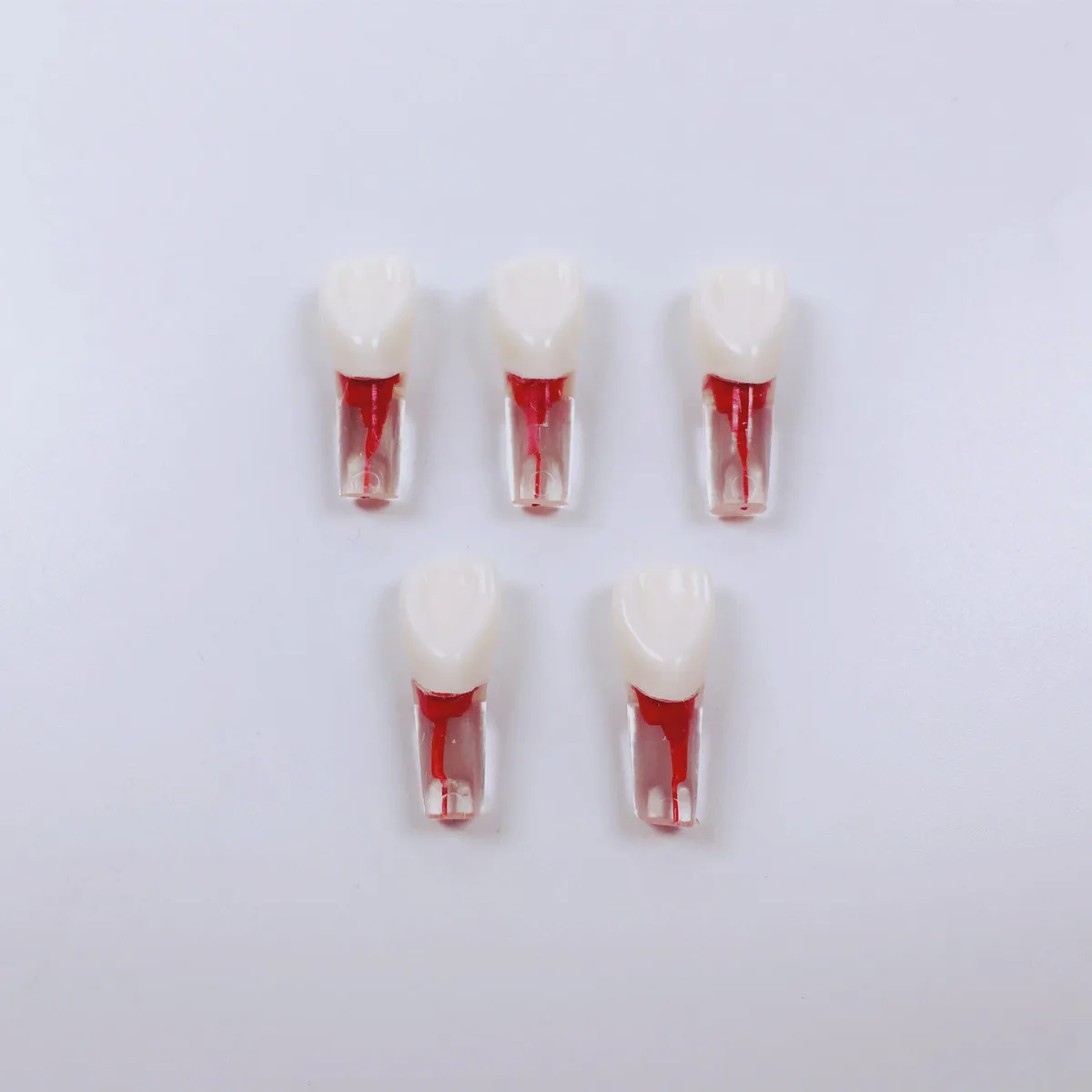 1~100Pcs Dental Root Files Canal Teeth Red Pulp Cavity Model Practice 11#
1~100Pcs Dental Root Files Canal Teeth Red Pulp Cavity Model Practice 11#