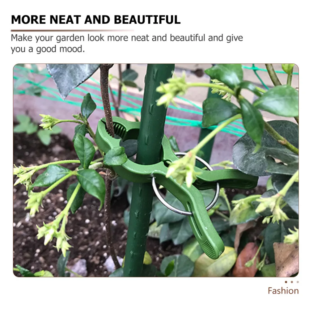 25pcs Plant Fixing Clips Garden Plants Clips Gardening Art Clips
25pcs Plant Fixing Clips Garden Plants Clips Gardening Art Clips