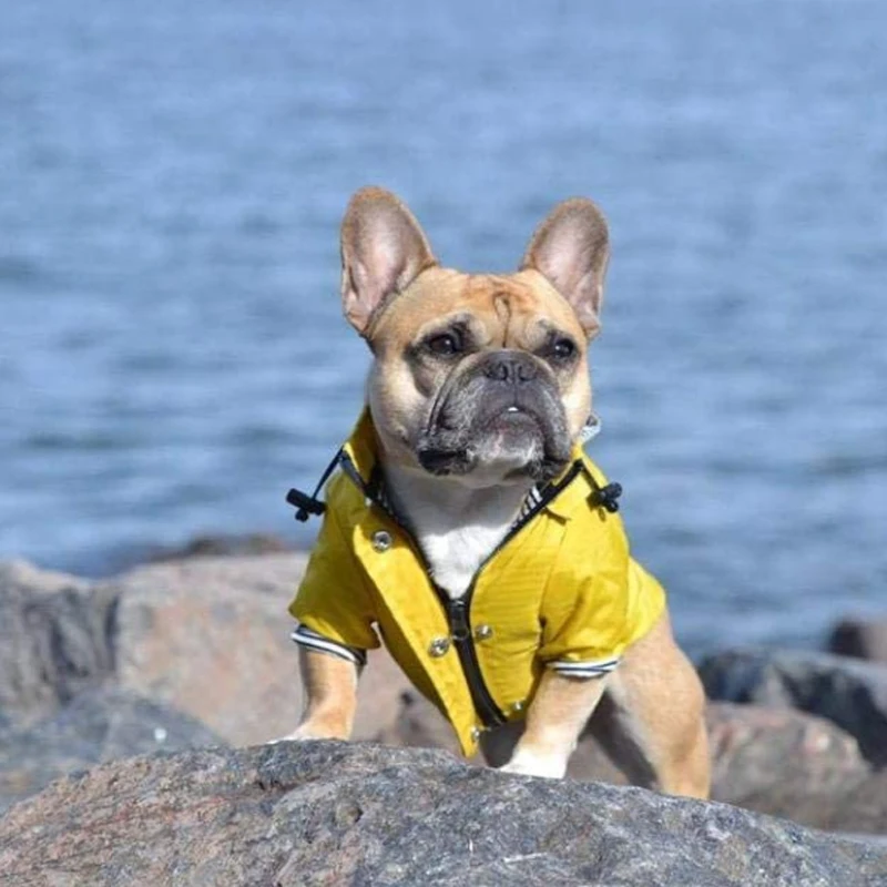 For French Bulldog Pets Dog RainCoat Waterproof Dog Rainproof Clothes Retro Puppy Pet Outfit Waterproof Jacket Puppy Raincoat
For French Bulldog Pets Dog RainCoat Waterproof Dog Rainproof Clothes Retro Puppy Pet Outfit Waterproof Jacket Puppy Raincoat
