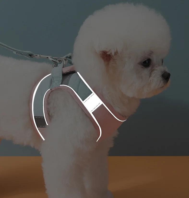 Pet Leash Vest Typecat Universal Chest Harness For Walking Cats Aand Dog Walking Leash Available For Dog
Pet Leash Vest Typecat Universal Chest Harness For Walking Cats Aand Dog Walking Leash Available For Dog