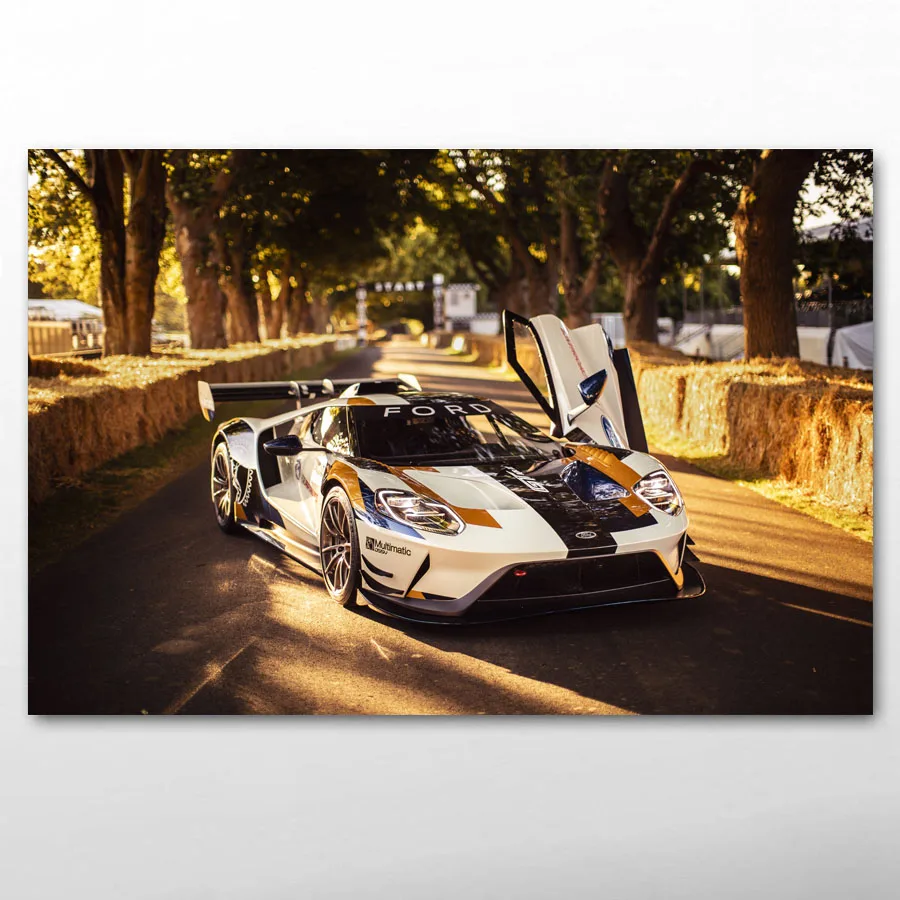 Supercar GT гоночный автомобиль, спортивный автомобиль, настенная фотокартина на холсте для декора гостиной
Supercar GT гоночный автомобиль, спортивный автомобиль, настенная фотокартина на холсте для декора гостиной