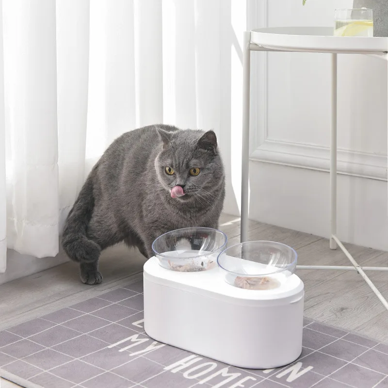Multifunctional Cat Double Bowls Simple Pet Drinker Water Feeder Oblique Mouth Neck Guard Feeding Bowl Food Storage Cat Accessor
Multifunctional Cat Double Bowls Simple Pet Drinker Water Feeder Oblique Mouth Neck Guard Feeding Bowl Food Storage Cat Accessor