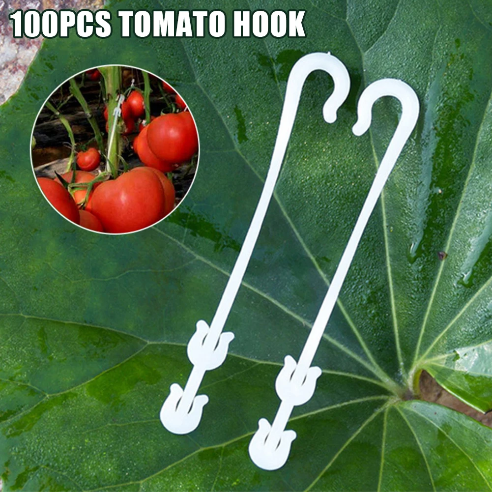 100Pcs Tomato Fruit Hanging J Hook Plant Support Ear Hooks Stem Prevent Cluster From Pinching/Falling off Fixing the Plant Vines
100Pcs Tomato Fruit Hanging J Hook Plant Support Ear Hooks Stem Prevent Cluster From Pinching/Falling off Fixing the Plant Vines