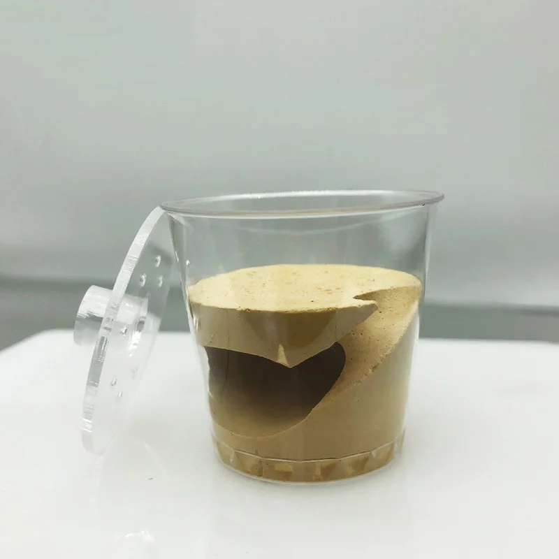 Mini Cup Nest Ant Queen Nurturing Nest Plaster Nest Suitable for Less Than 10 Workers Ants Farm House
Mini Cup Nest Ant Queen Nurturing Nest Plaster Nest Suitable for Less Than 10 Workers Ants Farm House