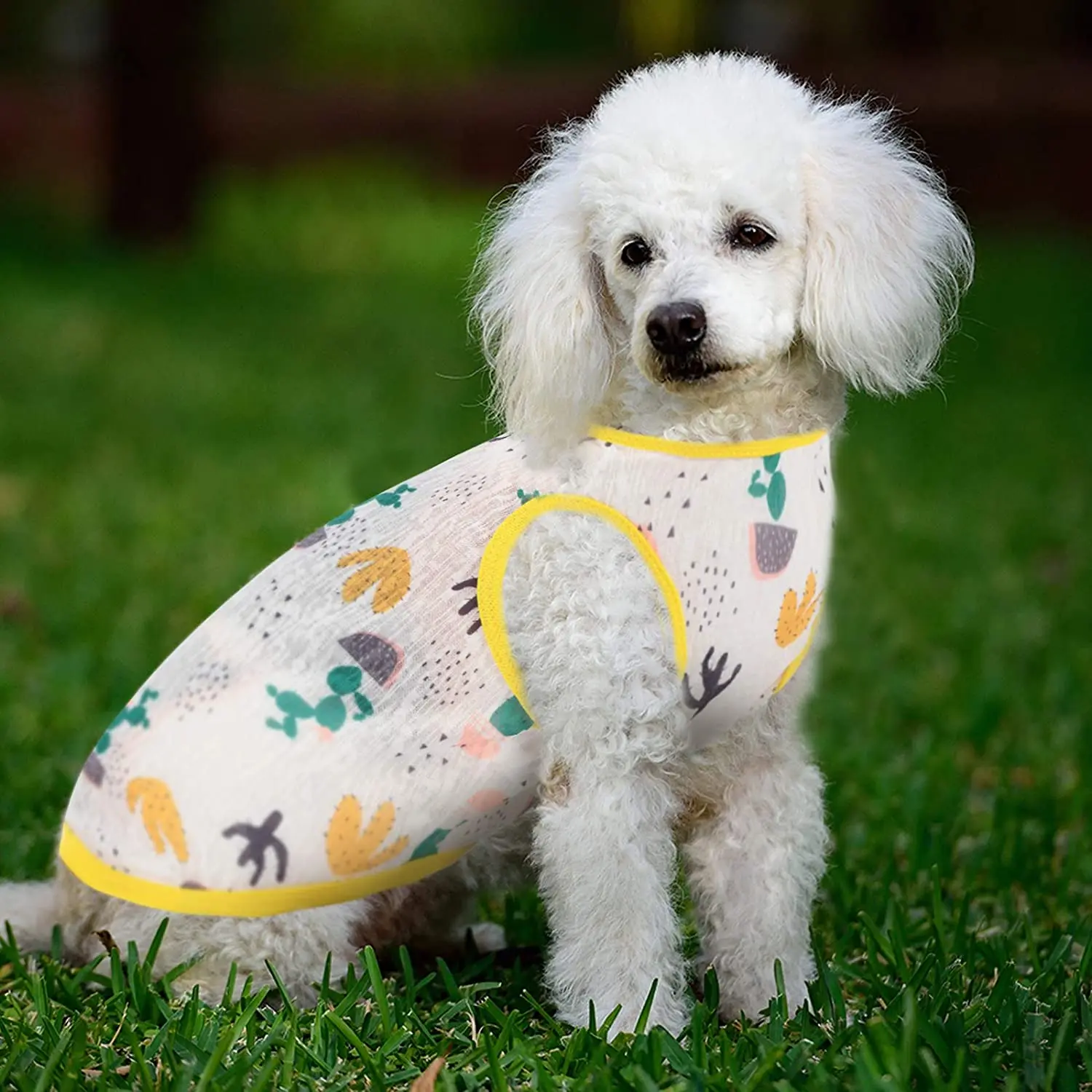 Cotton Pet Clothing Summer Sunscreen Vest Cool Breathable Dog Vest Cute Printed Puppy Dog T-shirt for Small and Medium Dogs
Cotton Pet Clothing Summer Sunscreen Vest Cool Breathable Dog Vest Cute Printed Puppy Dog T-shirt for Small and Medium Dogs