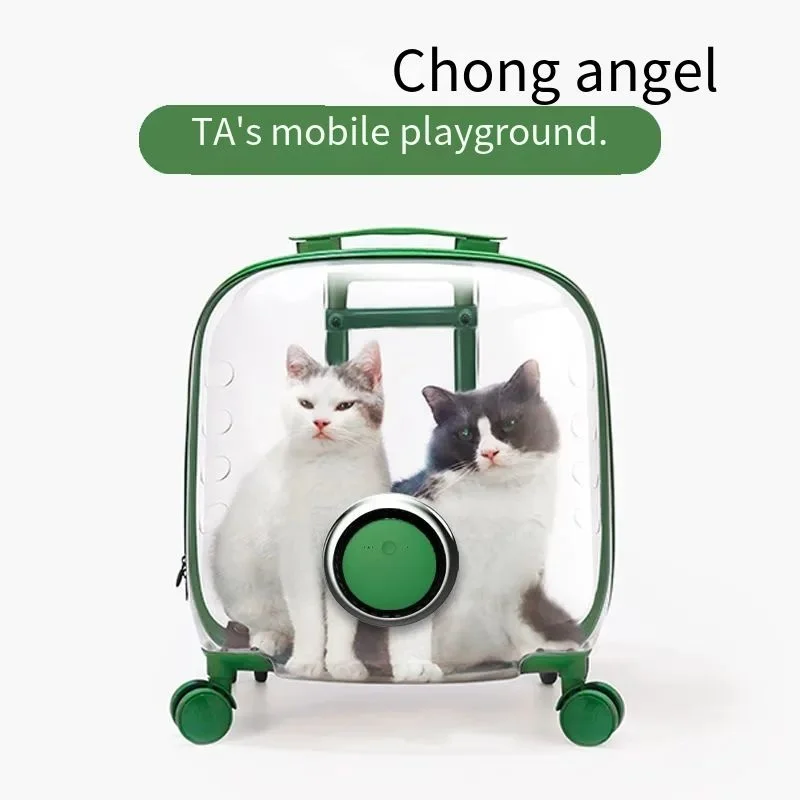 Переносной Контейнер для кошачьего туалета, прозрачная вместительная вентилируемая сумка для питомцев, для повседневного использования, д... 
Переносной Контейнер для кошачьего туалета, прозрачная вместительная вентилируемая сумка для питомцев, для повседневного использования, д...