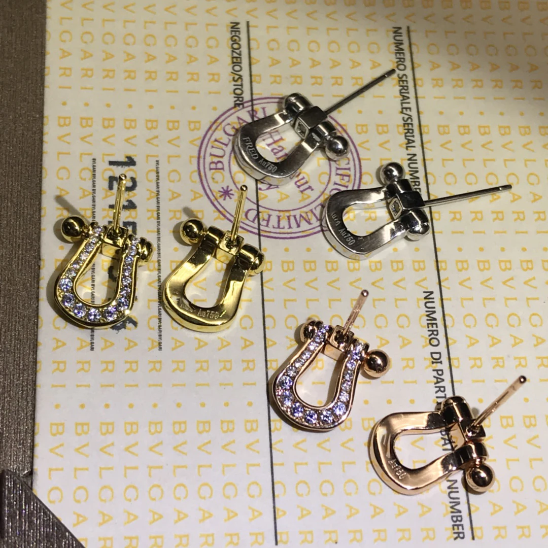 2021 New Winter Star Horseshoe Earrings High Quality Luxury Women's Earrings with Original Logo
2021 New Winter Star Horseshoe Earrings High Quality Luxury Women's Earrings with Original Logo