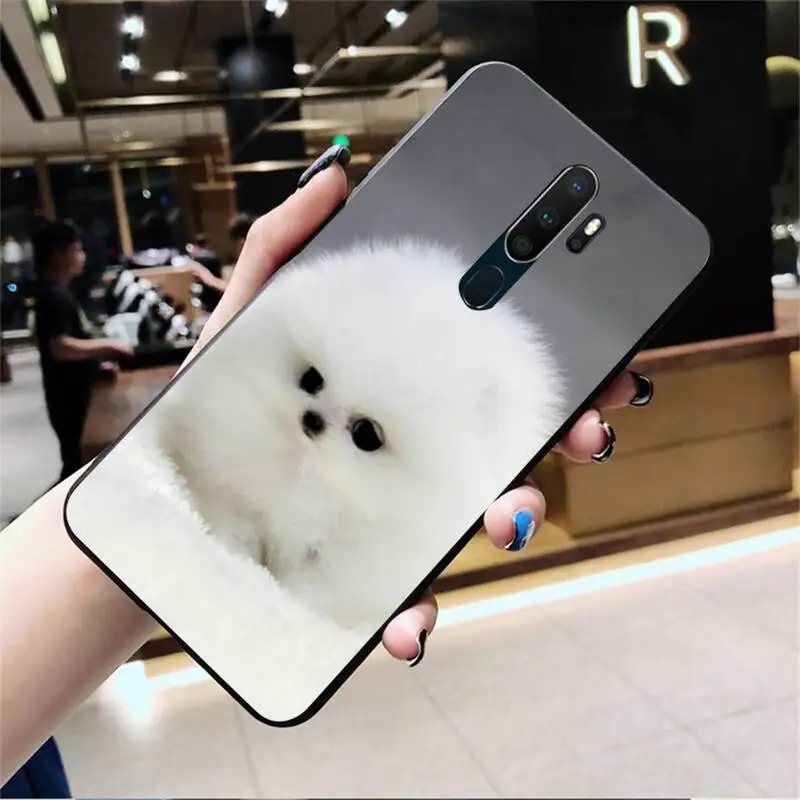 Милая собака Померанская фотосессия для Oppo A5 A9 2020 A5S Reno2 z Renoace 3pro Realme5Pro | Мобильные