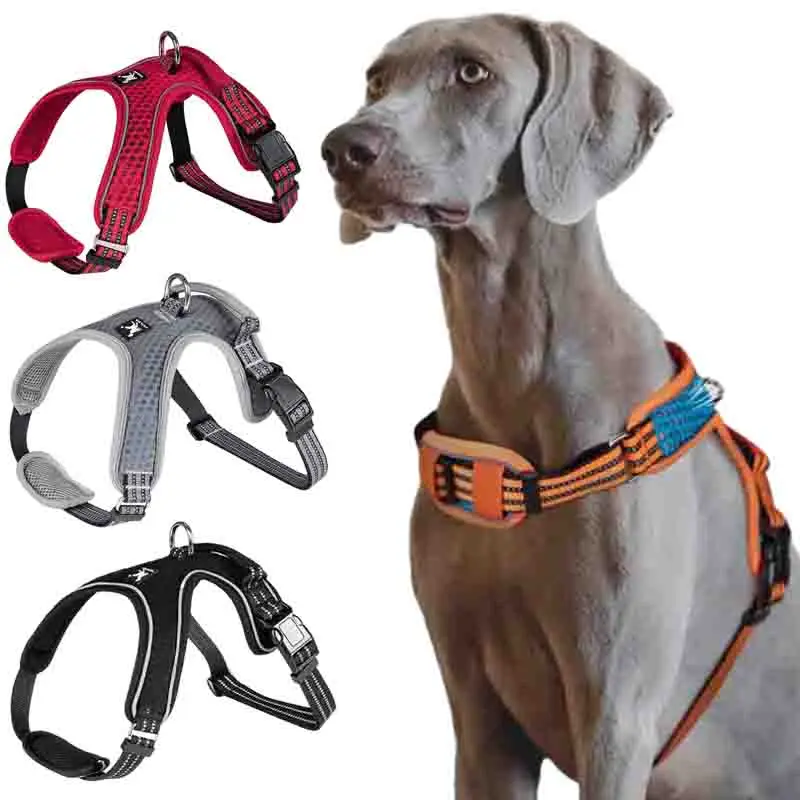 Pet Reflective Nylon Dog Harness Dogs Harness Soft Breathable Harnesses Walking Training Lead Straps accesorios para perros
Pet Reflective Nylon Dog Harness Dogs Harness Soft Breathable Harnesses Walking Training Lead Straps accesorios para perros