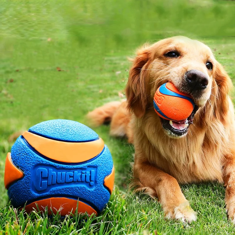 Molar Bite Rubber Chew Ball Dog Toy Ball Sound Bite Resistant Large Dog Molar Elastic Labrador Puppy Golden Retriever Supplies 
Molar Bite Rubber Chew Ball Dog Toy Ball Sound Bite Resistant Large Dog Molar Elastic Labrador Puppy Golden Retriever Supplies