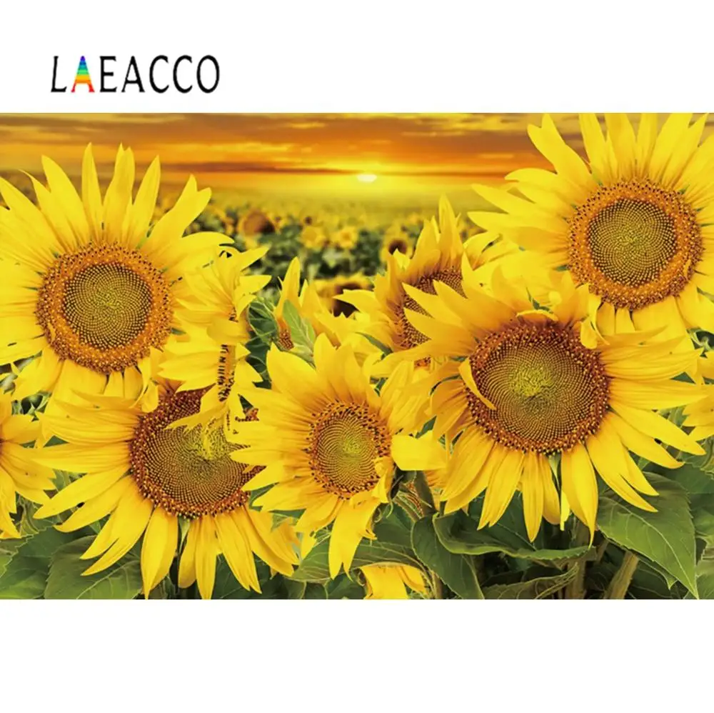 Laeacco, желтый подсолнух, цветущая закатная ферма, день рождения, Живописный фон для фотосъемки, фон для фотосъемки
Laeacco, желтый подсолнух, цветущая закатная ферма, день рождения, Живописный фон для фотосъемки, фон для фотосъемки