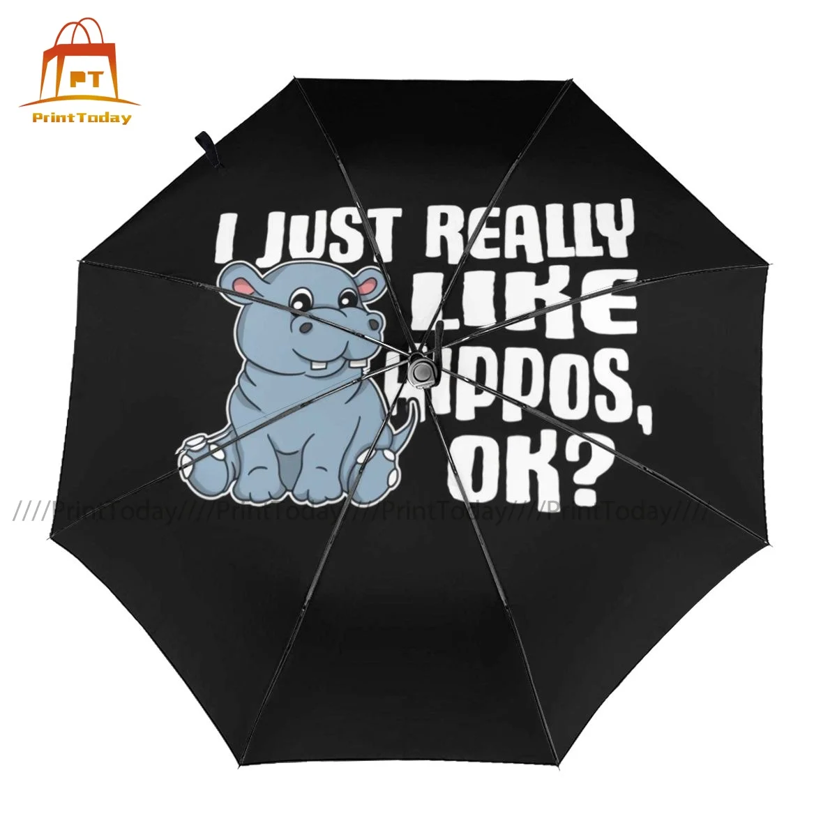 Hippo Umbrella UV Protection Outdoor Umbrella Unique Automatic Art Folding Umbrella
Hippo Umbrella UV Protection Outdoor Umbrella Unique Automatic Art Folding Umbrella