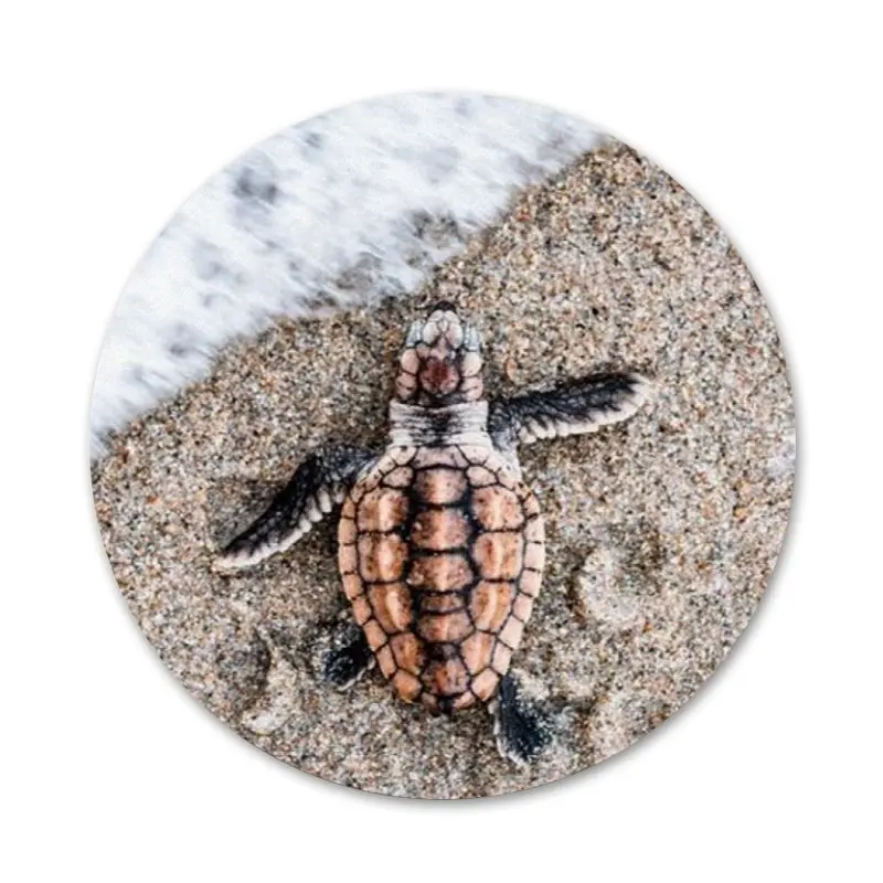 Cute little turtle Icons Pins Badge Decoration Brooches Metal Badges For Backpack Decoration 58mm
Cute little turtle Icons Pins Badge Decoration Brooches Metal Badges For Backpack Decoration 58mm