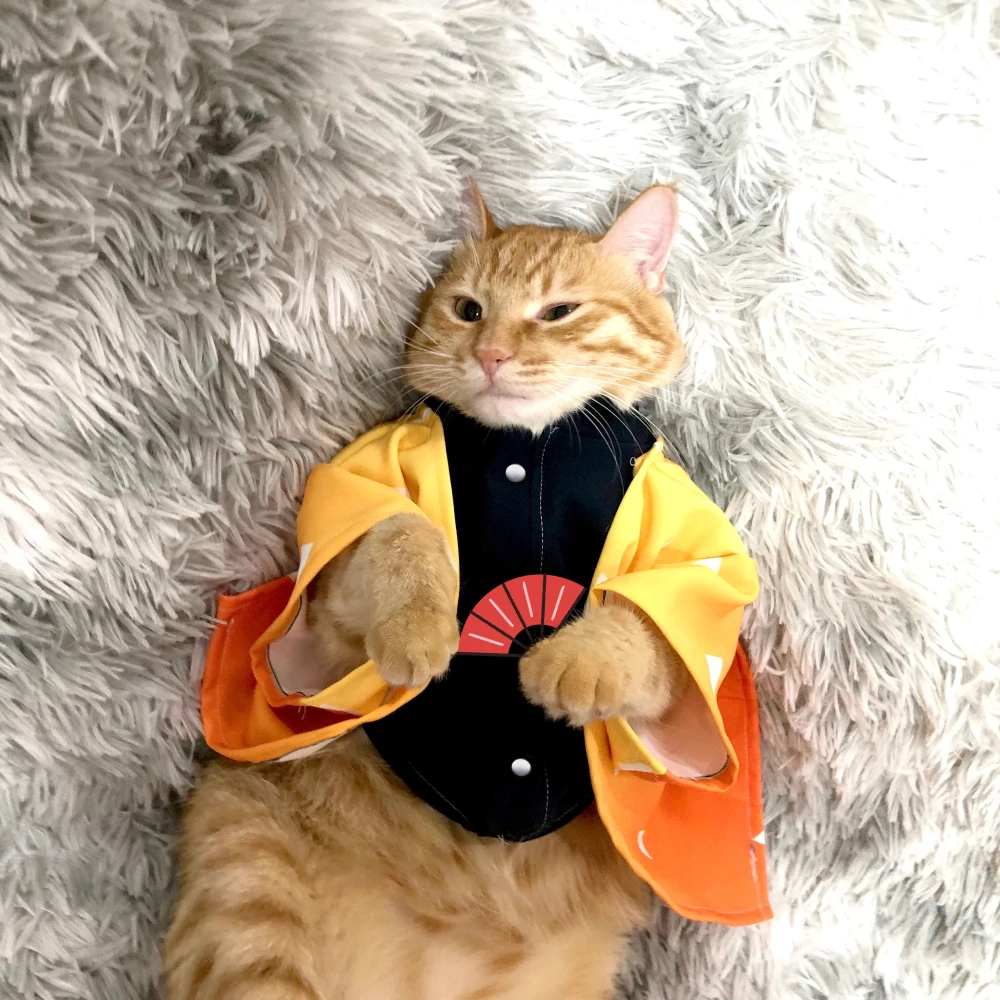 Anime Demon Slayer Cosplay Costumes For Cat Mascotas Ropa Para Gatos Kedi Kıyafeti Kimono Perros Chiens Dress Pet Dog Clothes
Anime Demon Slayer Cosplay Costumes For Cat Mascotas Ropa Para Gatos Kedi Kıyafeti Kimono Perros Chiens Dress Pet Dog Clothes