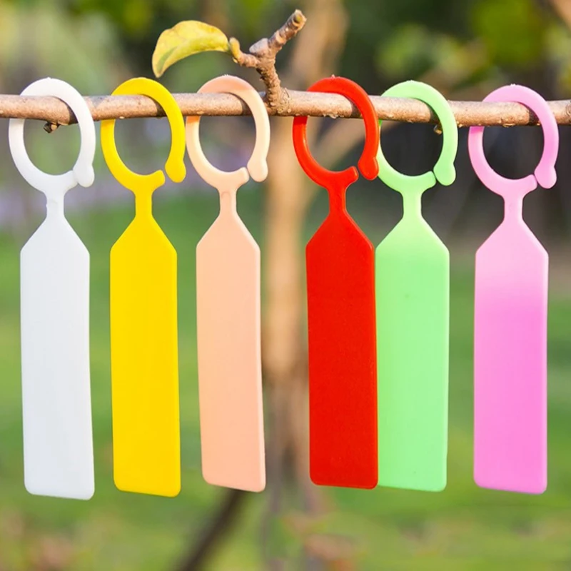100pcs plastic solid color thick hanging gardening label, seedling label, ring buckle label garden decoration supplies
100pcs plastic solid color thick hanging gardening label, seedling label, ring buckle label garden decoration supplies