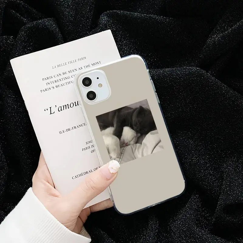 Pink Aesthetic cute cat Phone Cases Transparent soft For iphone 5 5s 5c se 6 6s 7 8 11 12 plus mini x xs xr pro max
Pink Aesthetic cute cat Phone Cases Transparent soft For iphone 5 5s 5c se 6 6s 7 8 11 12 plus mini x xs xr pro max