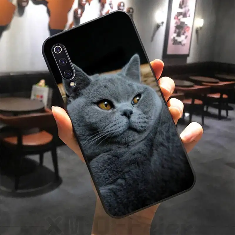 British Shorthair Cat Top Design Phone Case For Xiaomi Note 10 Pro 9 SE 9T Pro Cover For Redmi Note 9s 8 Pro K20 Phone Case
British Shorthair Cat Top Design Phone Case For Xiaomi Note 10 Pro 9 SE 9T Pro Cover For Redmi Note 9s 8 Pro K20 Phone Case