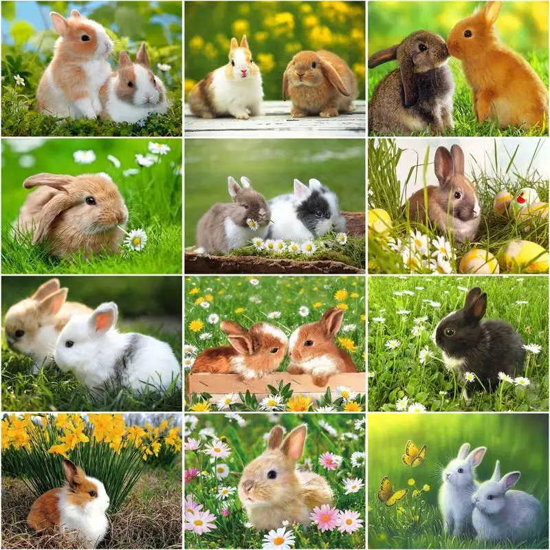 RUOPOTY 60x75cm Frame Painting By Number For Adults Acrylic Paint On Canvas Rabbit Animals Coloring By Numbers For Home Decors
RUOPOTY 60x75cm Frame Painting By Number For Adults Acrylic Paint On Canvas Rabbit Animals Coloring By Numbers For Home Decors