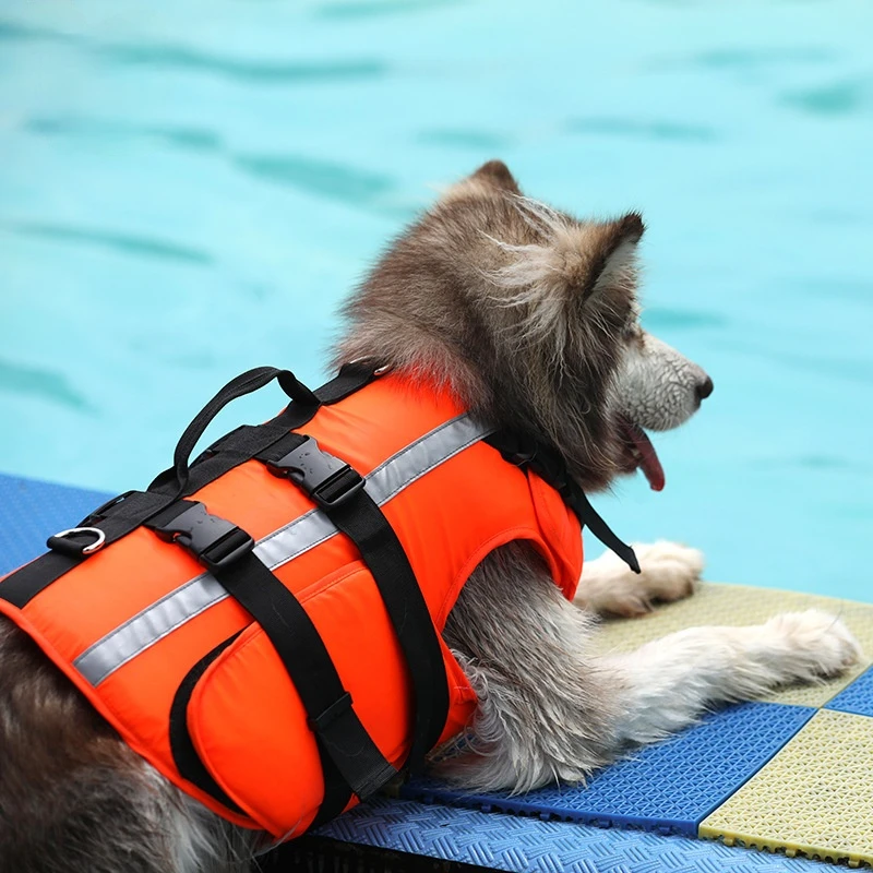 Pet Swimwear Training Supplies Big and Small Dog Lifesaving Clothes Pet Safety Cooling High Buoyancy Swimwear
Pet Swimwear Training Supplies Big and Small Dog Lifesaving Clothes Pet Safety Cooling High Buoyancy Swimwear