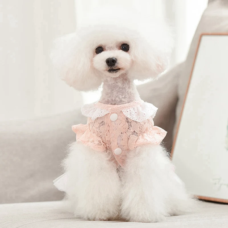 Pet Dog Clothes Skirt Spring Summer Pleated Skirt Bubble Wedding Costumes For Dog Girls Dress Chihuahua Wedding Dress Puppy Dogs
Pet Dog Clothes Skirt Spring Summer Pleated Skirt Bubble Wedding Costumes For Dog Girls Dress Chihuahua Wedding Dress Puppy Dogs