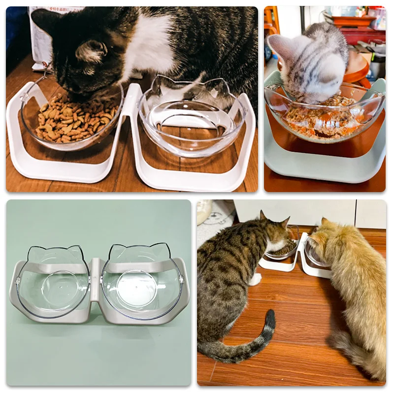 AMEIFU Double Pet Cat Bowl with Stand 18 Adjustable to Protect the Cervical Spine Dog Water Bowl for Cat Food Pet Supplies 
AMEIFU Double Pet Cat Bowl with Stand 18 Adjustable to Protect the Cervical Spine Dog Water Bowl for Cat Food Pet Supplies