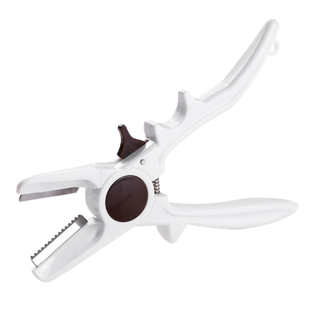 Home Fruit Knife Kitchen Knife Mini Hunting Survival Tool Accessories Nutshell Knife Chestnut Peeler Daily Kitchen Accessories
Home Fruit Knife Kitchen Knife Mini Hunting Survival Tool Accessories Nutshell Knife Chestnut Peeler Daily Kitchen Accessories