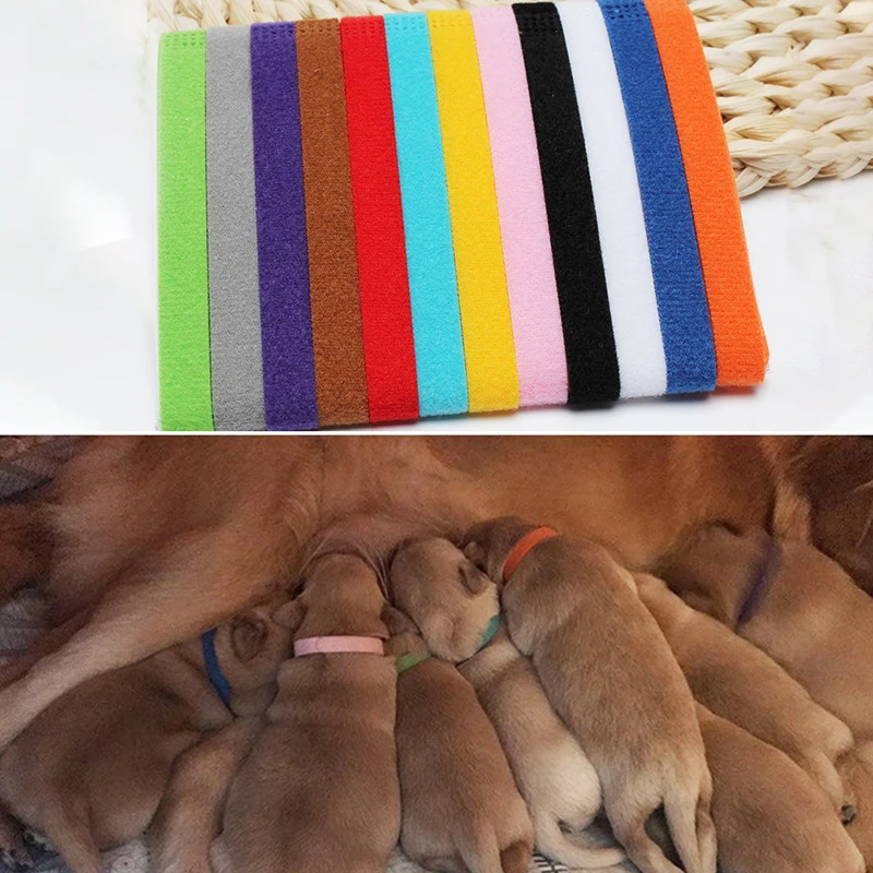 12 Pcs/Set Puppy Newborn Pets Identify Collars Adjustable Nylon Small Pet Dog Collars Kitten Necklace  Puppy Collars