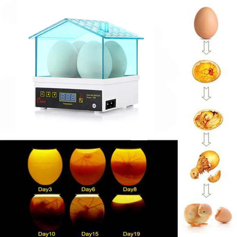 

4 шт. инкубатор для яиц Полностью автоматический поворот Брудер курица перепелиные яичные инкубаторы 98% выход цыплят мини инкубатор машина