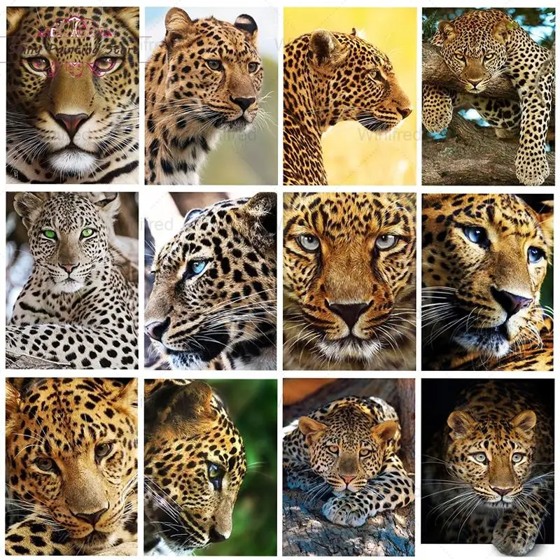 5D DIY Diamond Painting Animal Leopard Diamond Embroidery Full Square Round Diamond Mosaic Rhinestone Picture Home Decoration
5D DIY Diamond Painting Animal Leopard Diamond Embroidery Full Square Round Diamond Mosaic Rhinestone Picture Home Decoration